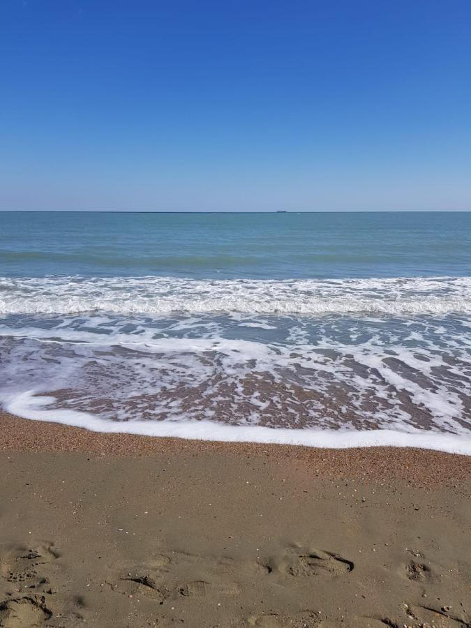 Xenia Apartament Konstanca Kültér fotó