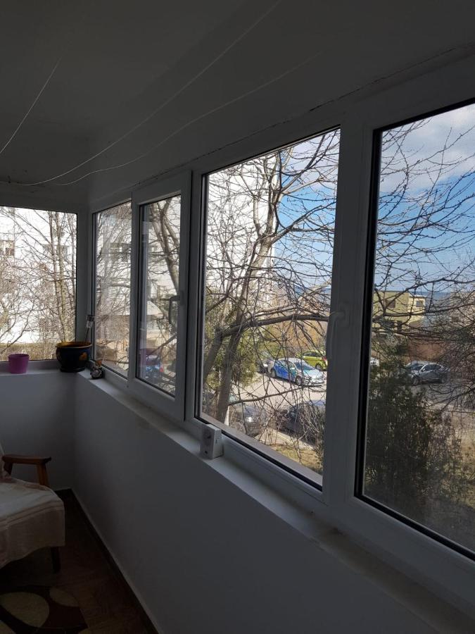 Xenia Apartament Konstanca Kültér fotó