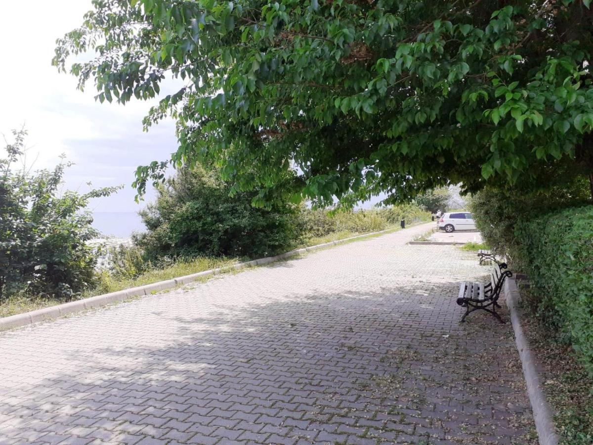 Xenia Apartament Konstanca Kültér fotó